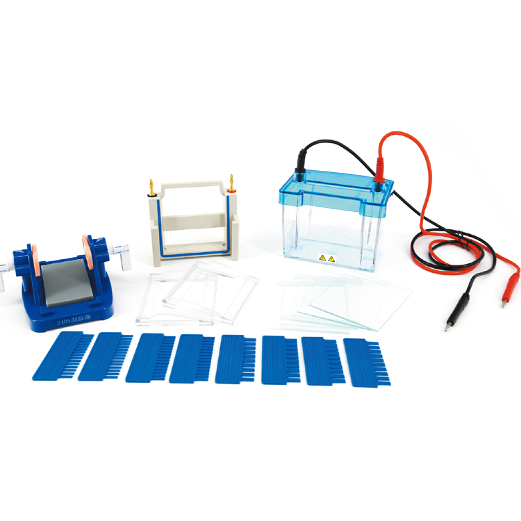 北京六一DYCZ-24DN迷你雙垂直電泳儀