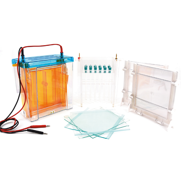 北京六一DYCZ-26C雙向電泳儀